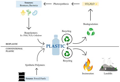  Polyhydroxyalkanoat - En Hållbar Bioplast för Framtiden?