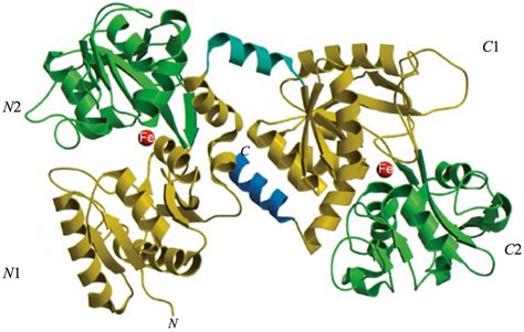  Lactoferrin: En Biomaterial för Antibakteriella Beläggningar och Livsmedelstillsatser?